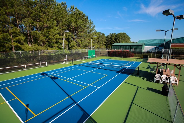 Pickleball ⁣Craze: Exploring the State Dominating the Game