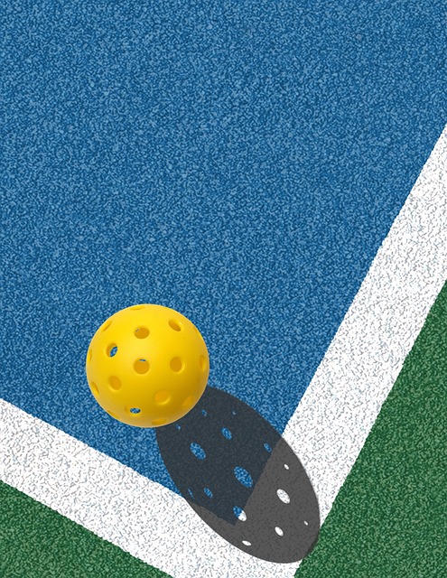 4. Smart Planning: Cost-Effective Strategies for Building a High-Quality Pickleball Court